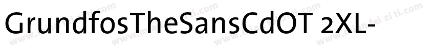 GrundfosTheSansCdOT 2XL字体转换